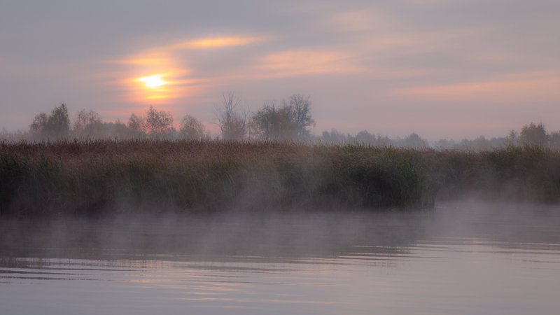 Mist op verschillende droomboeken