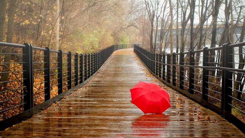 Meneghetti Umbrella