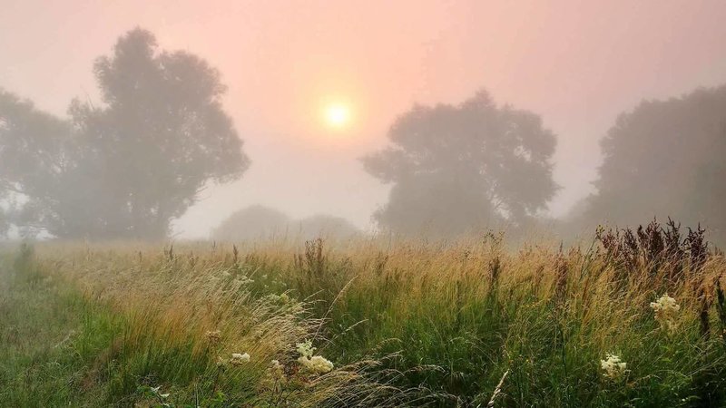 Mist tegen de dagen van de week