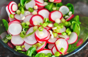 Salade de radis et concombre