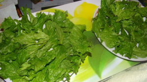 Garnalen Caesarsalade