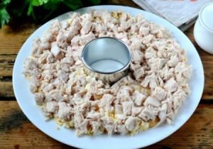 Salade De Poulet De Vacances