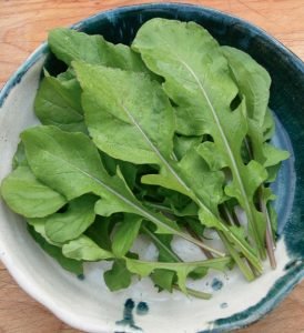 Salade avec saucisse fumée, fromage et roquette