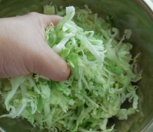 Salade de jeunes choux aux concombres