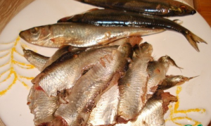 Salata Sprat