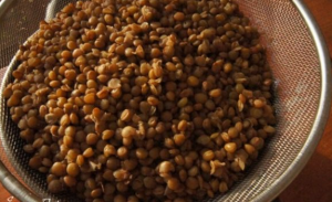 Salade De Lentilles De Poisson Fumé