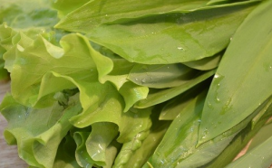 Salade de radis avec oeuf