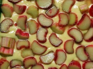 Tarte à la rhubarbe