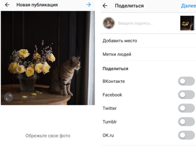 Cele mai bune metode de repostare a fotografiilor și videoclipurilor pe și de pe Instagram