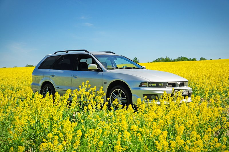 Terrain de vente de voiture