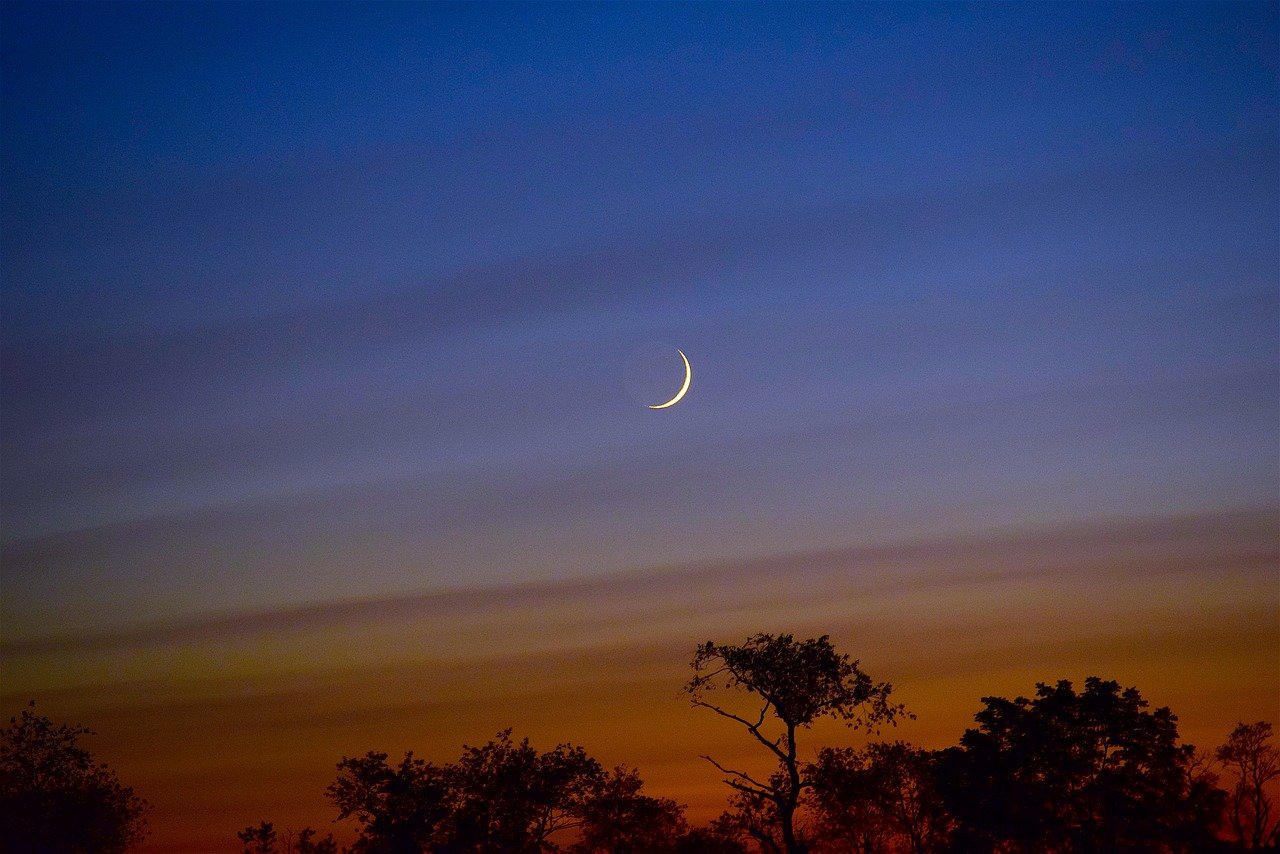 O conspirație pentru a iubi un om pe luna nouă