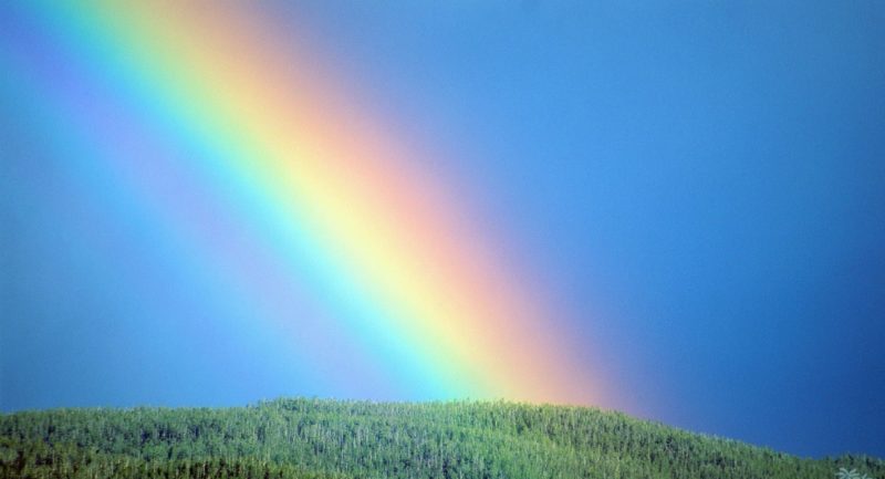 regenboog liefde plot