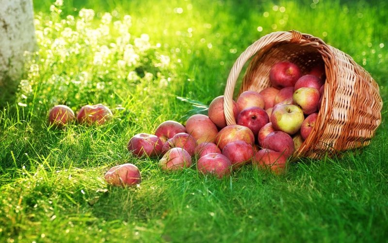 Prières pour Spas Pomme