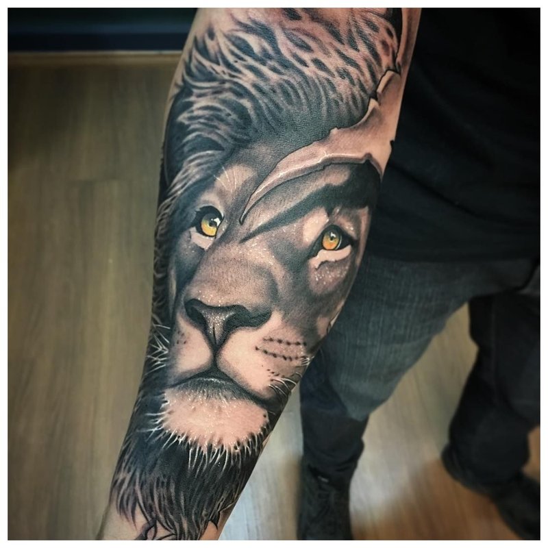 Tatouage animal sur l'avant-bras d'un homme