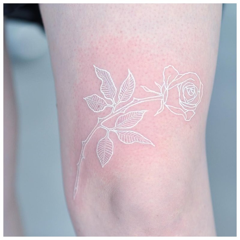 Tatouage rose blanche