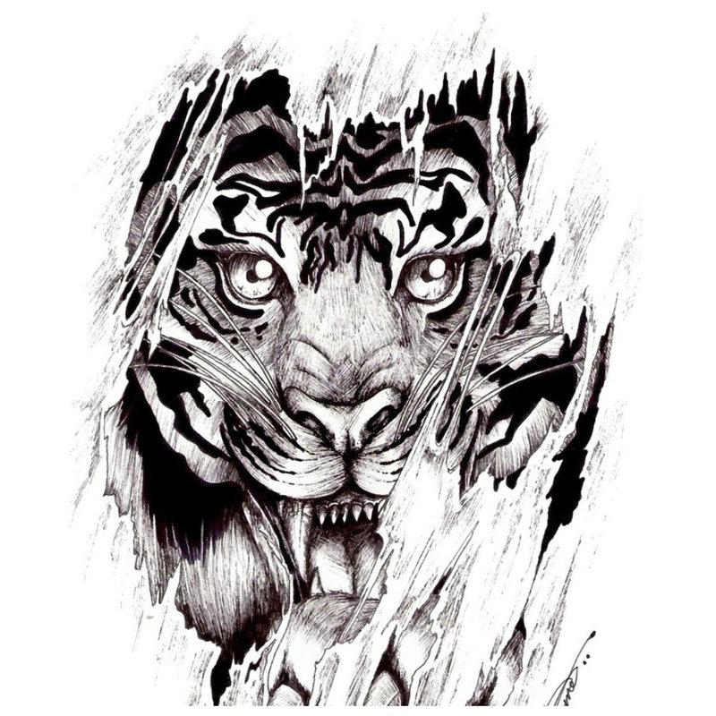 Esquisse pour le tatouage de tigre