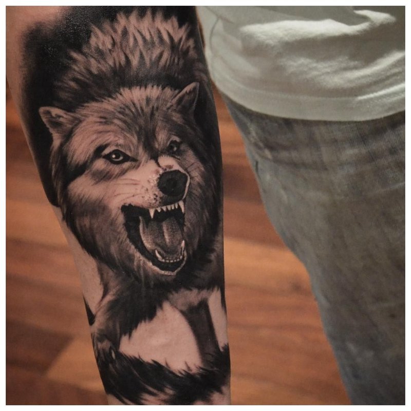 Wolfentattoo op de hand van een man