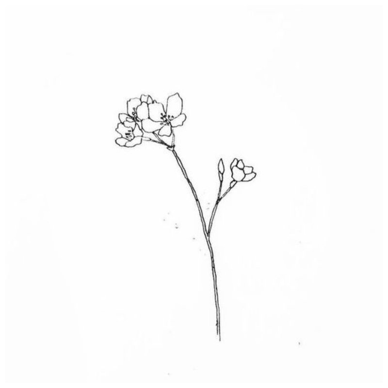 Fleur - croquis pour tatouage