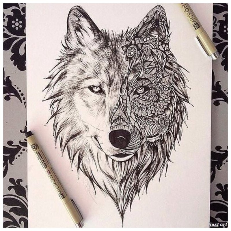 Visage de loup - croquis pour tatouage