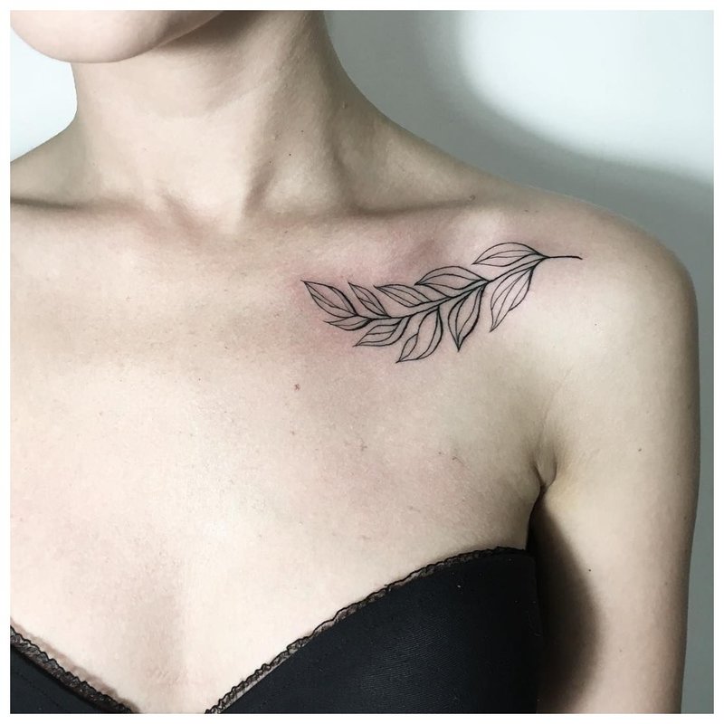 Brindille - tatouage de la clavicule