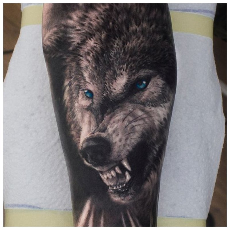 Grijns van een wolf - tattoo voor de mens