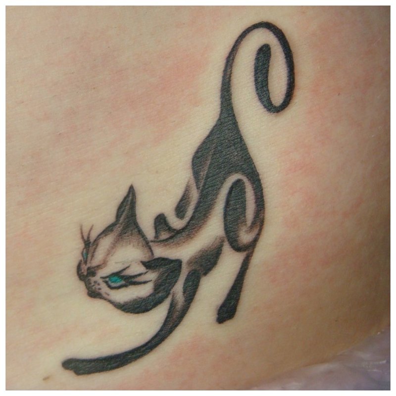 Tatouage de chat