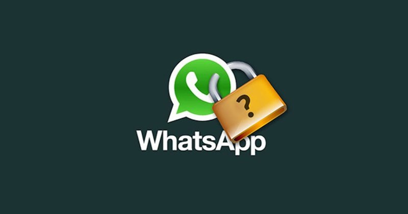 Confidentialité WhatsApp